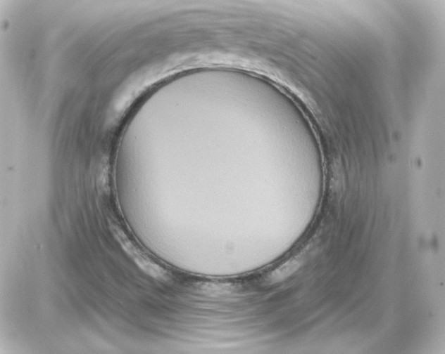 X0000087531499200705112018