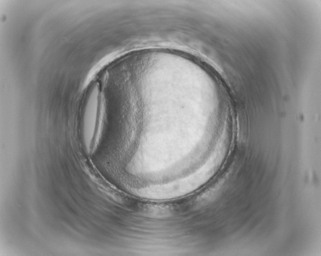 X0000087531501200705112018