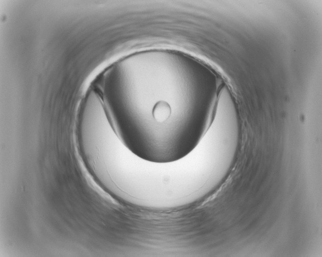 X0000087531518200705112018