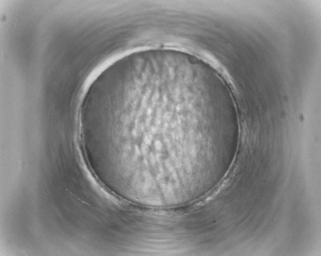 X0000087531520200705112018