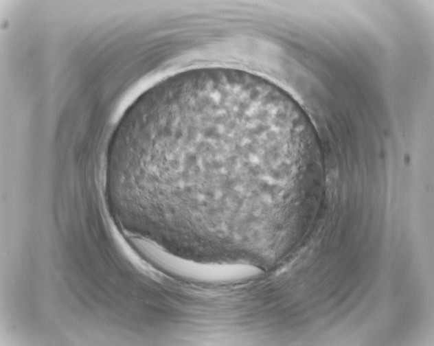 X0000087531523200705112018