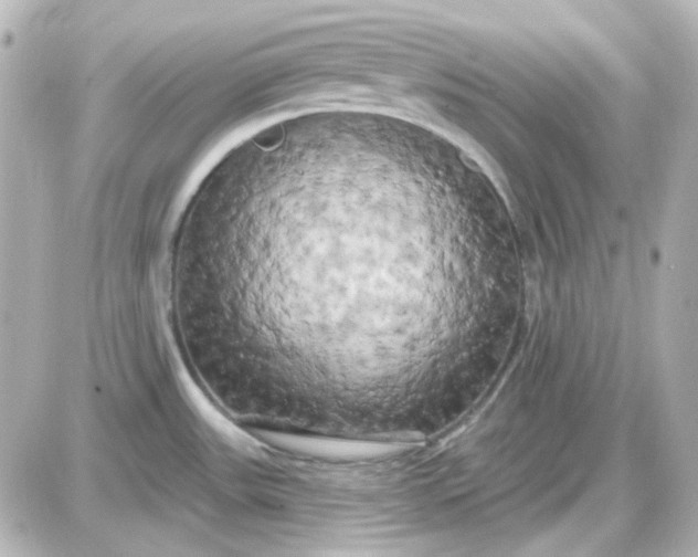 X0000087531531200705112018