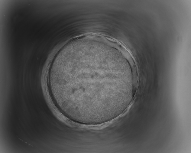 X0000087530001200705181039