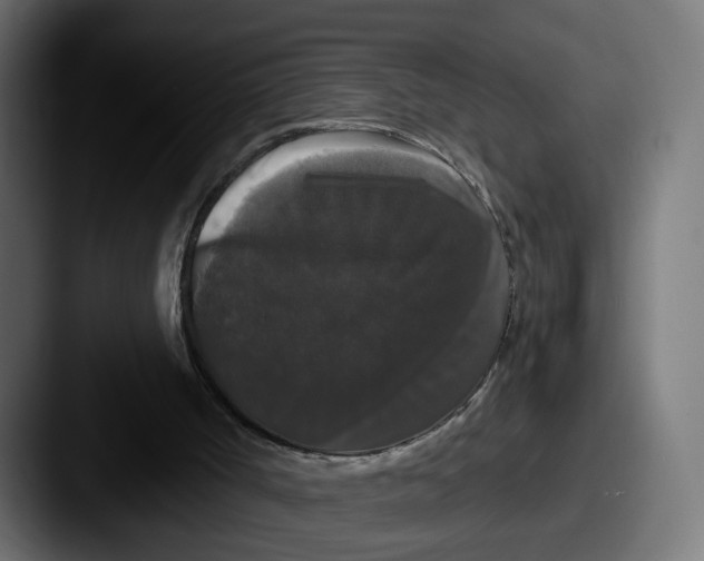 X0000087530002200705181039