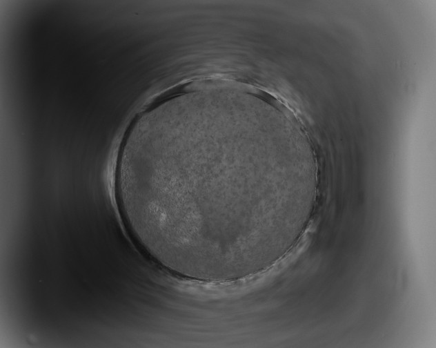 X0000087530003200705181039