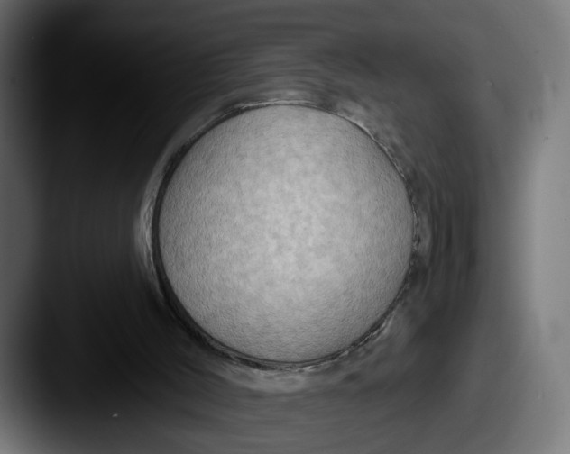 X0000087530004200705181039