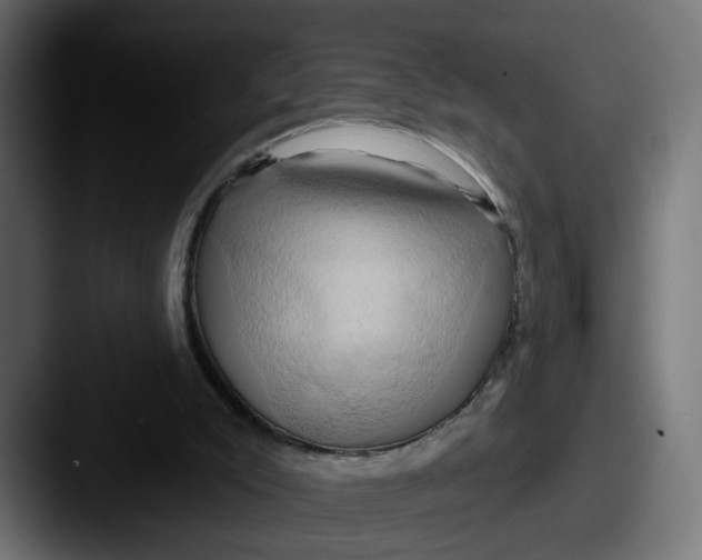 X0000087530007200705181039