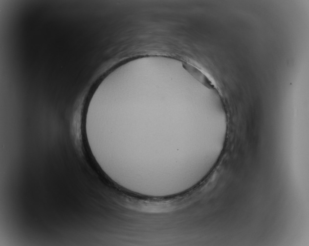 X0000087530008200705181039