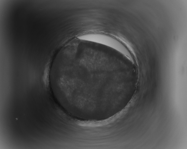 X0000087530009200705181039