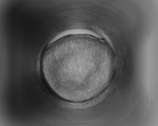 X0000087530010200705181039
