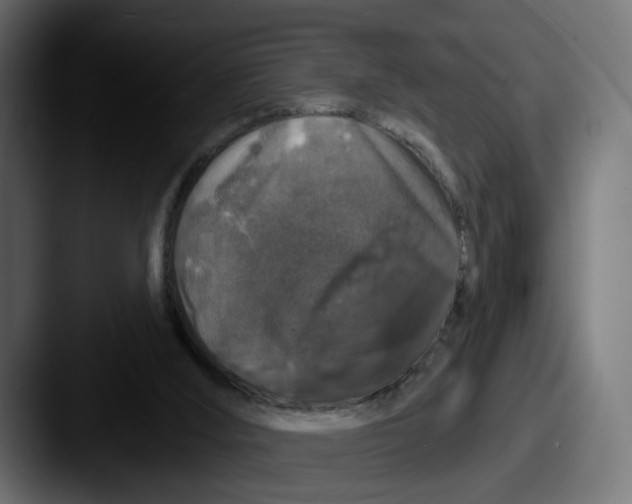 X0000087530012200705181039
