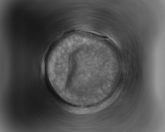 X0000087530014200705181039