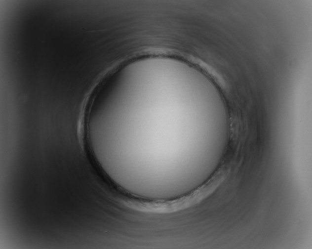 X0000087530015200705181039