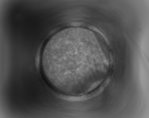 X0000087530016200705181039