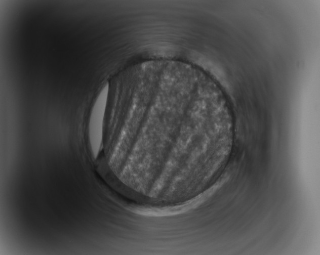 X0000087530017200705181039