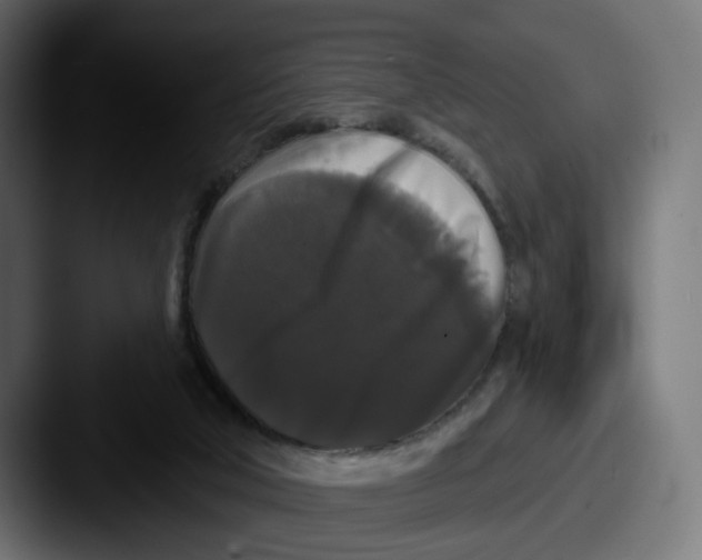 X0000087530018200705181038
