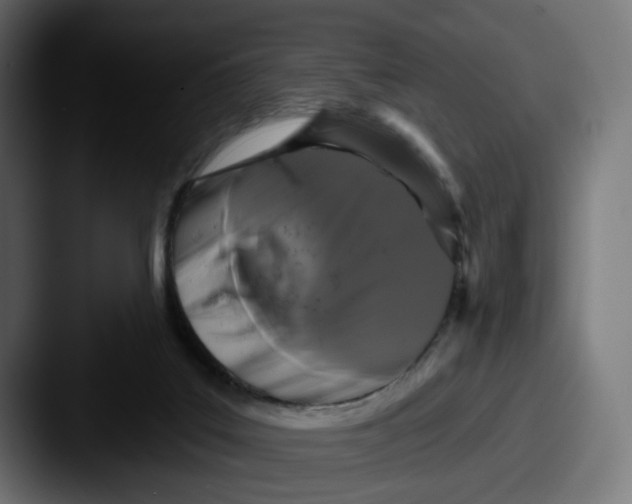 X0000087530019200705181038