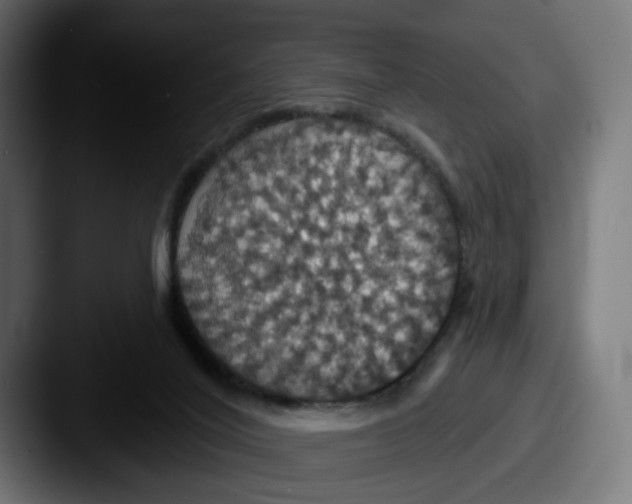 X0000087530020200705181038