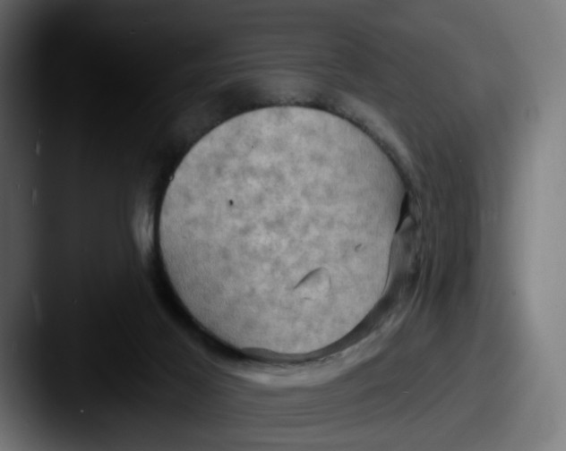 X0000087530021200705181038
