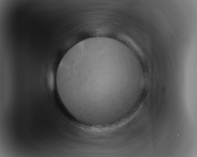 X0000087530022200705181038