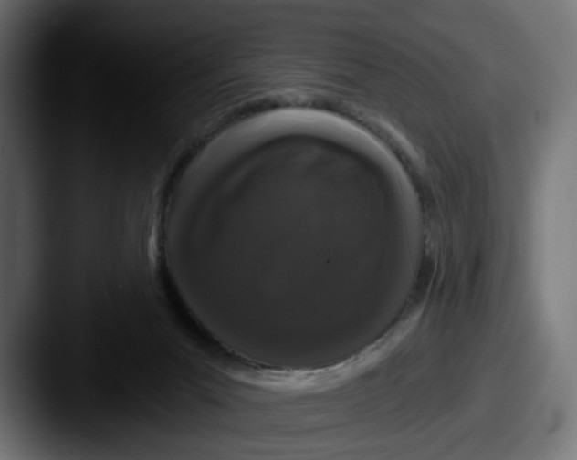 X0000087530023200705181038