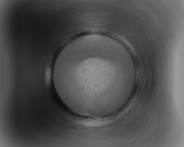 X0000087530024200705181038