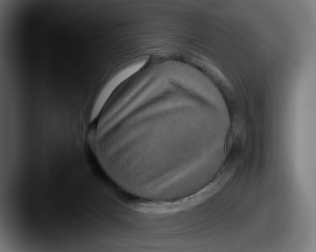X0000087530025200705181038