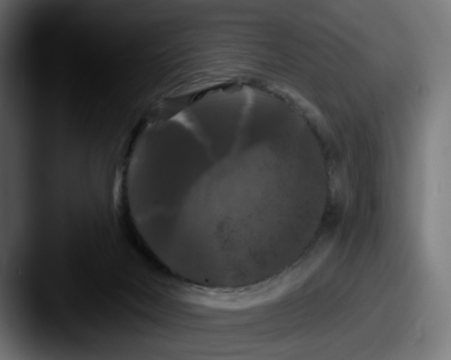 X0000087530026200705181038