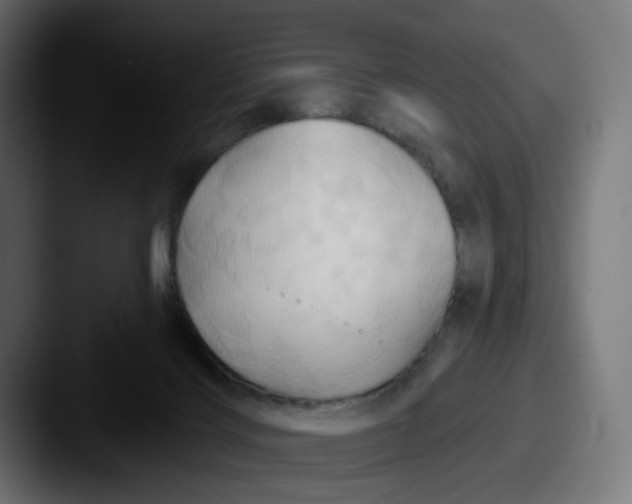X0000087530028200705181038