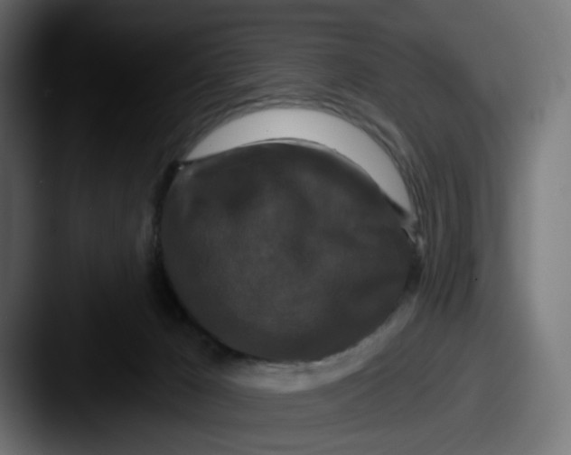 X0000087530029200705181038