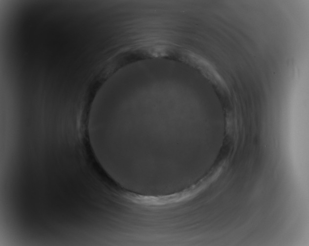 X0000087530030200705181038