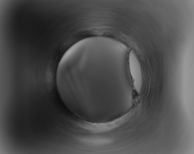 X0000087530031200705181038