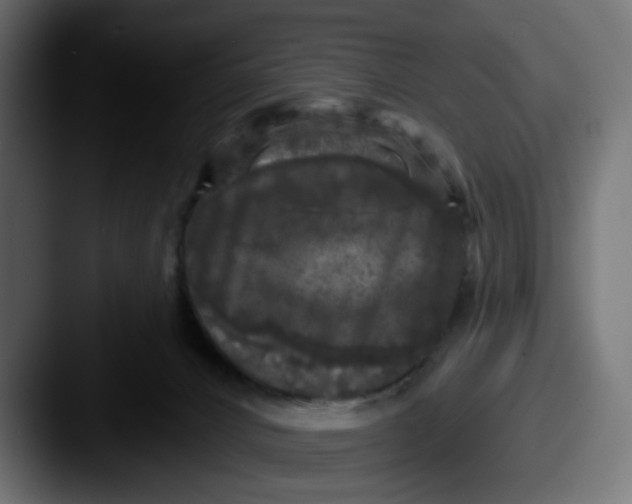 X0000087530032200705181038