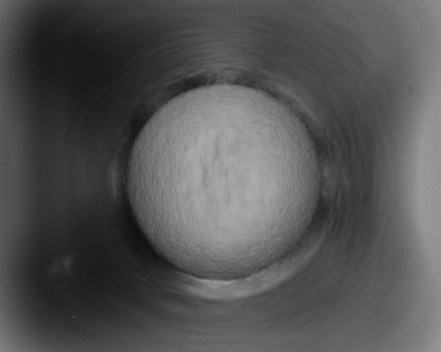 X0000087530034200705181038