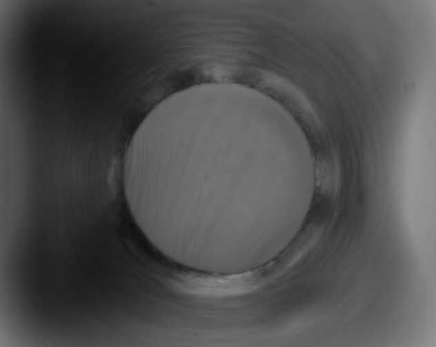 X0000087530036200705181038