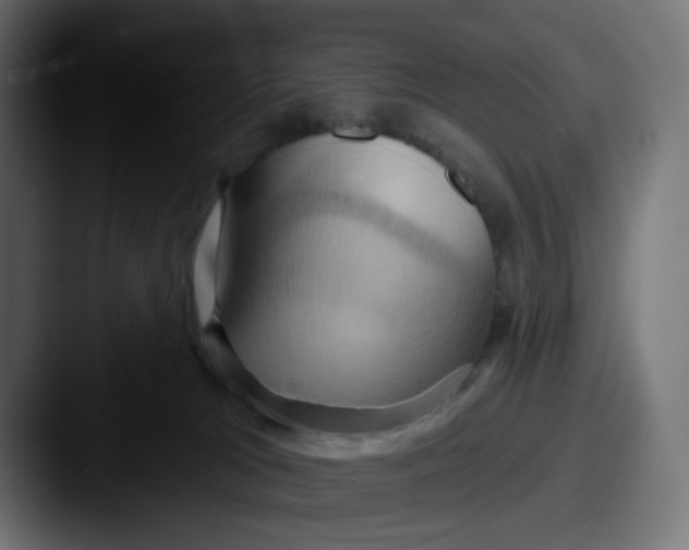 X0000087530037200705181038