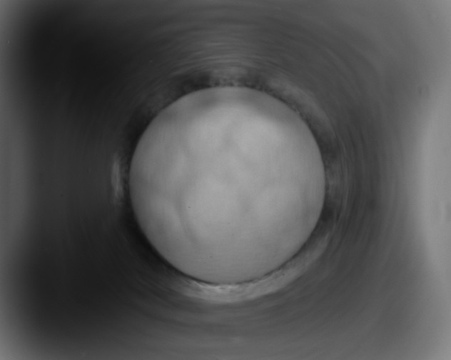 X0000087530038200705181038
