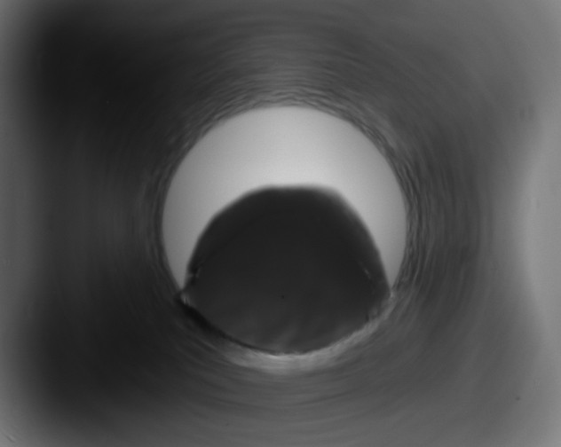X0000087530039200705181038