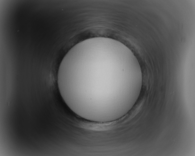 X0000087530040200705181038