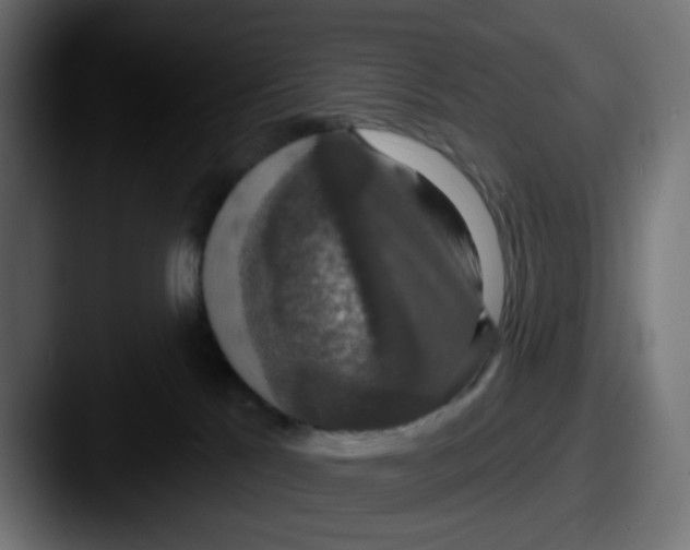 X0000087530041200705181038