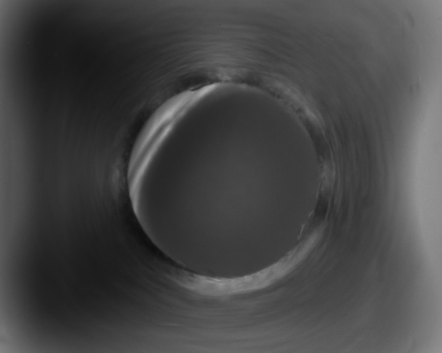 X0000087530043200705181038