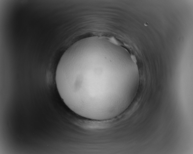 X0000087530044200705181038