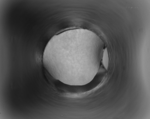 X0000087530045200705181038