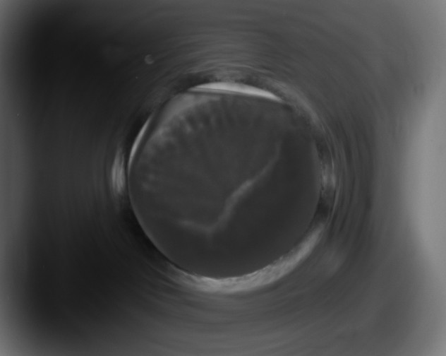 X0000087530046200705181038