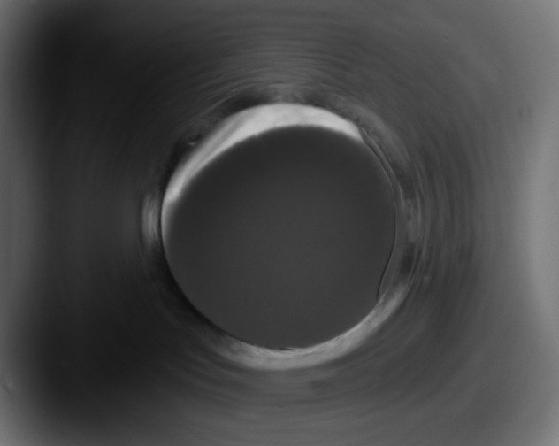 X0000087530047200705181038