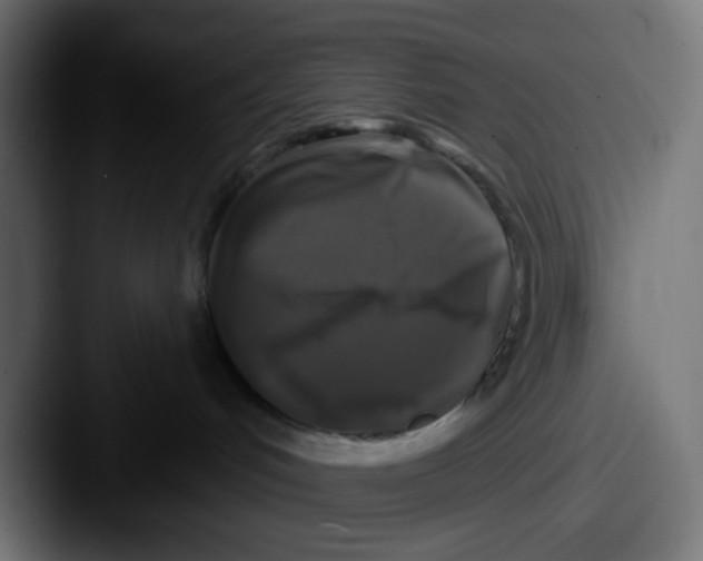 X0000087530048200705181038