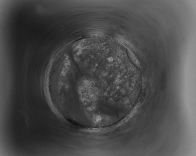 X0000087530049200705181038