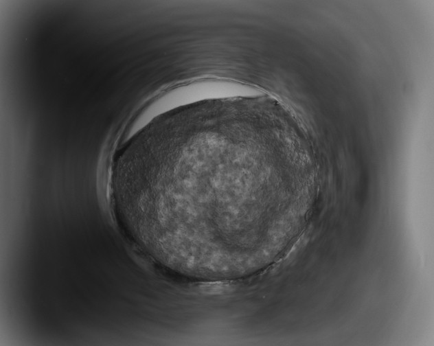 X0000087530050200705181038