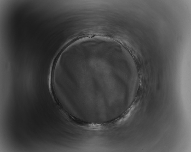 X0000087530052200705181038