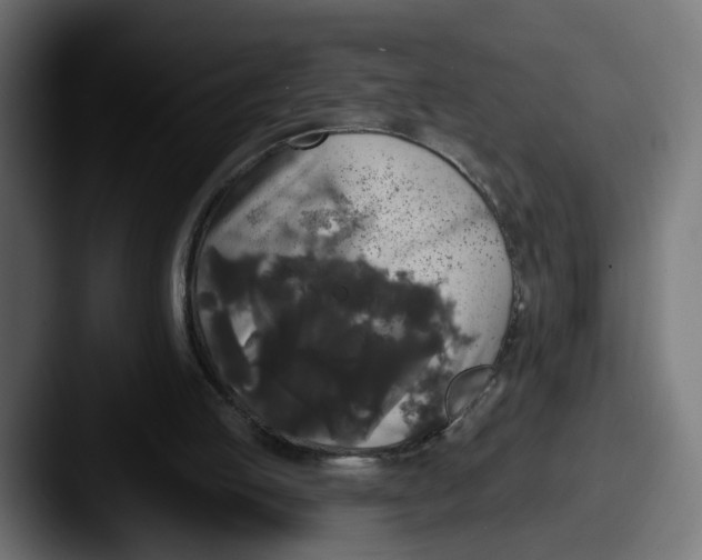 X0000087530053200705181038